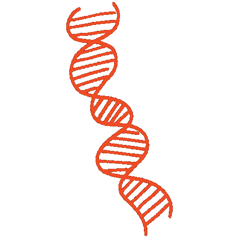 Dna Chromosoom Sticker by Thomas More-hogeschool