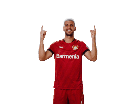 Swipe Up Bayer 04 Sticker by Bayer 04 Leverkusen