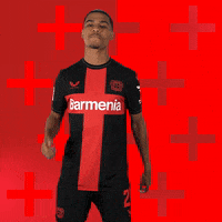 Bayer 04 Love GIF by Bayer 04 Leverkusen
