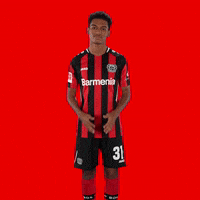 Oh No Facepalm GIF by Bayer 04 Leverkusen