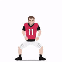 Celebrate Nfl Draft GIF by SportsManias