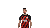 Happy Celebration Sticker by Eintracht Frankfurt