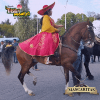 btmproducciones musica carnaval bailando desfile GIF