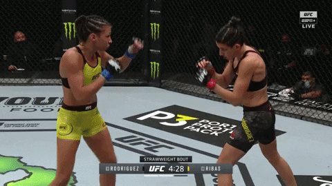 AFCpdx giphyupload GIF