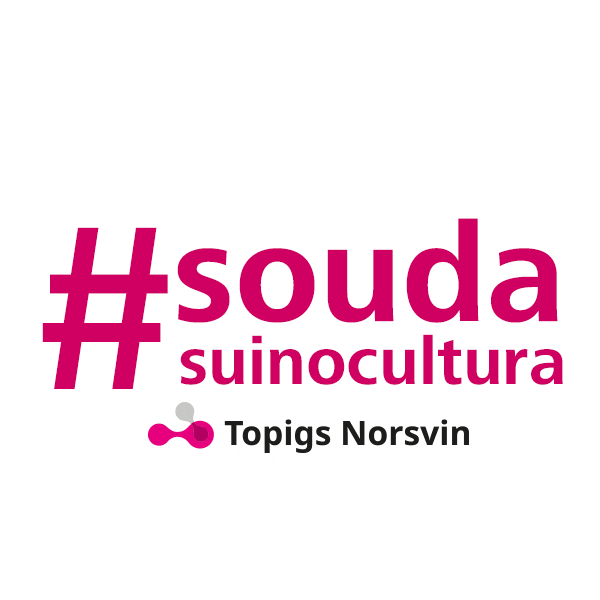 TopigsNorsvin giphyupload topigs duroc tn70 Sticker