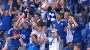 Veltins Arena Win GIF by FC Schalke 04