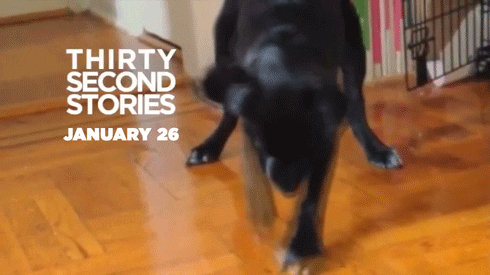 thirty second stories GIF by weinventyou