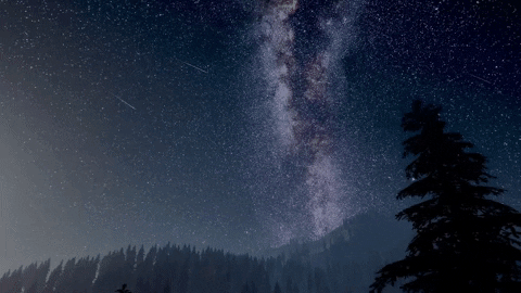 yj_jane giphygifmaker GIF