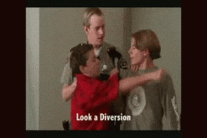 diversion GIF