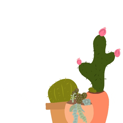 artbykayesilva giphygifmaker green plant cactus GIF