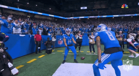 National Football League GIF by NFL
