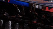 Baseball Team GIF by New York Mets