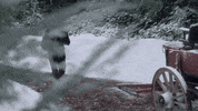 When Calls The Heart Love GIF by Hallmark Channel