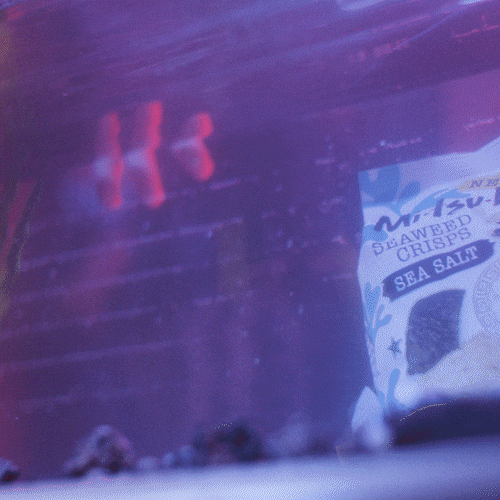 MenkenOrlando party celebrate water scream GIF