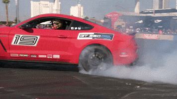 car race GIF by Discovery Europe