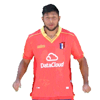 Golcde Sticker by Club Deportivo Español