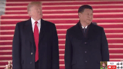 zheng zhi GIF