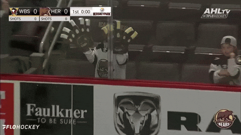 Hockey Fans Foam Fingers GIF by Hershey Bears