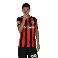 Eye Watching Sticker by Bayer 04 Leverkusen