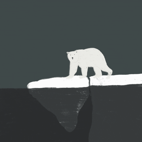 coitcreative giphyupload bear global warming polar bear GIF