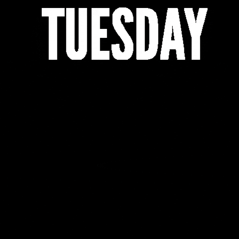 Kooybrothers giphygifmaker kb kooy kooybrothers GIF