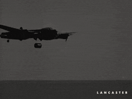 Flying War GIF by Madman Films