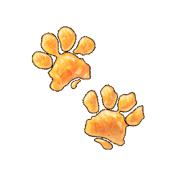thepaddingtonbearexperience giphygifmaker paddingtonbear paddington bear london the paddington bear experience london Sticker