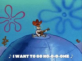 season 1 texas GIF by SpongeBob SquarePants