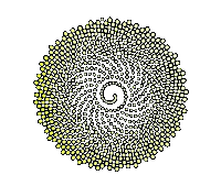 3D Flower Sticker by Quasi Crystals