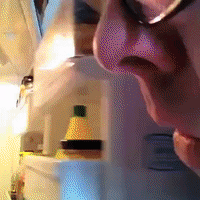 GIF by Brittlestar