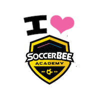 soccerbeeacademy love soccerbee lovesoccer soccerbeeacademy Sticker