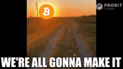 Crypto Bitcoin GIF by ProBit Global