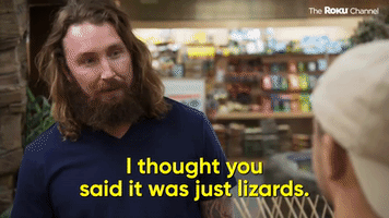 You Said It Was Just Lizards