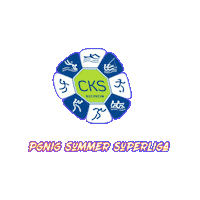 Eks Cks Sticker by PGNiG Summer Superliga