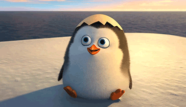 Movie gif. A newly hatched baby Private from Penguins of Madagascar, still wearing the top of his eggshell on his head, gives us a friendly wave. Text rises from bottom of frame, "Cute."