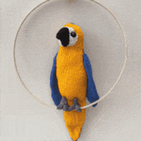 Parrot Macaw GIF by TeaCosyFolk