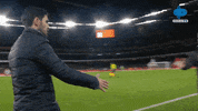 Premierleague GIF by MolaTV