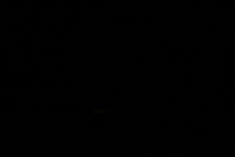 Charlie Brown Halloween GIF by Peanuts