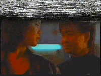 perlasardella glitch vhs gif artist video art GIF