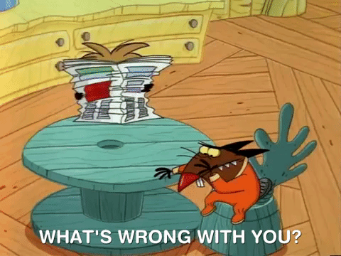 nickrewind giphydvr nicksplat angry beavers giphyab013 GIF
