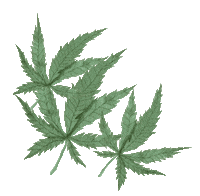 Loop Grow Sticker by Pur Group Int.