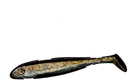 Fishus Sticker by Yuki Competition