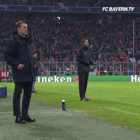 happy champions league GIF by FC Bayern Munich