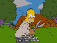 homer simpson GIF