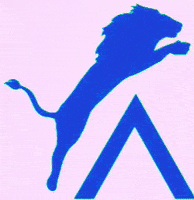 Alexa_safety_security protection alexa bodyguard alexaprotection GIF