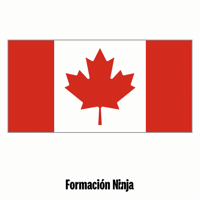 Canada Flag GIF by Formación Ninja