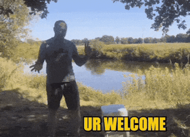 Tvln GIF by The Vanlife Network