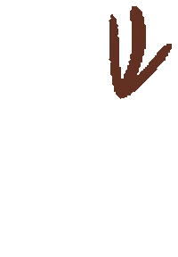 Arrow Sticker by Relyef pottery tools