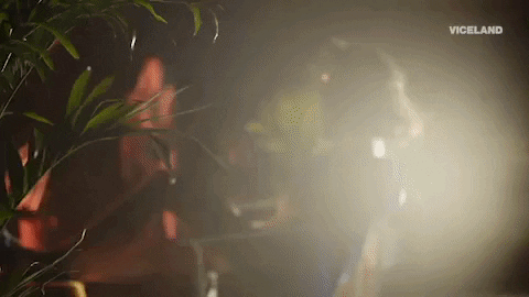 randy savage GIF by DARK SIDE OF THE RING