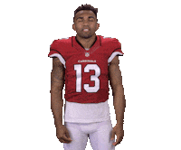 Arizona Cardinals Stickers Sticker by NFL